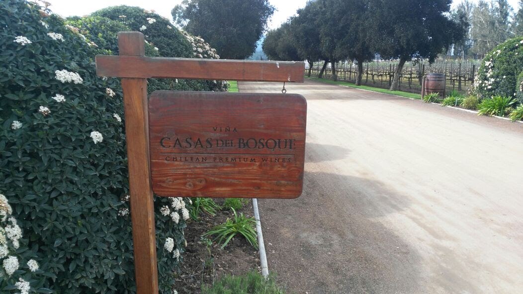 Viña Casas del Bosque