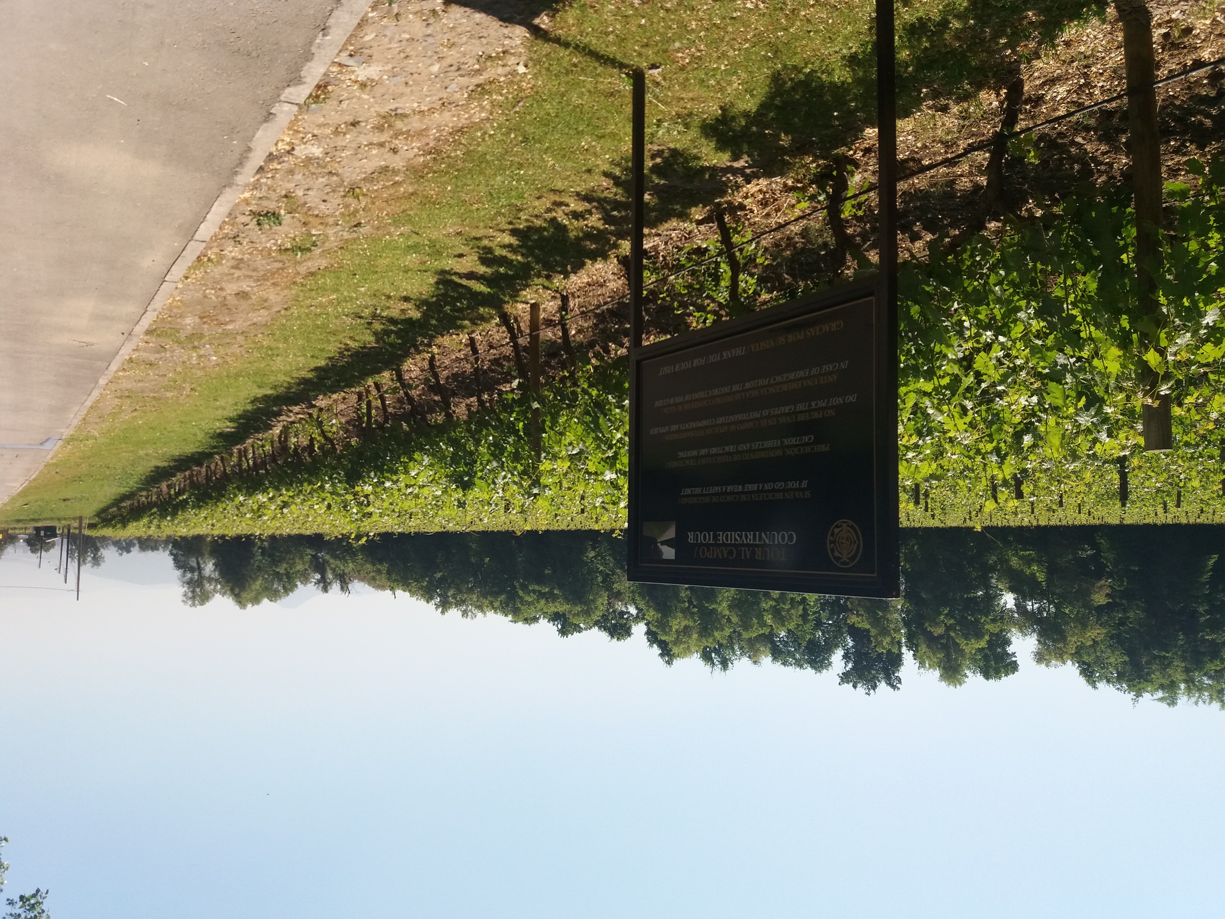 Viña Cousiño Macul