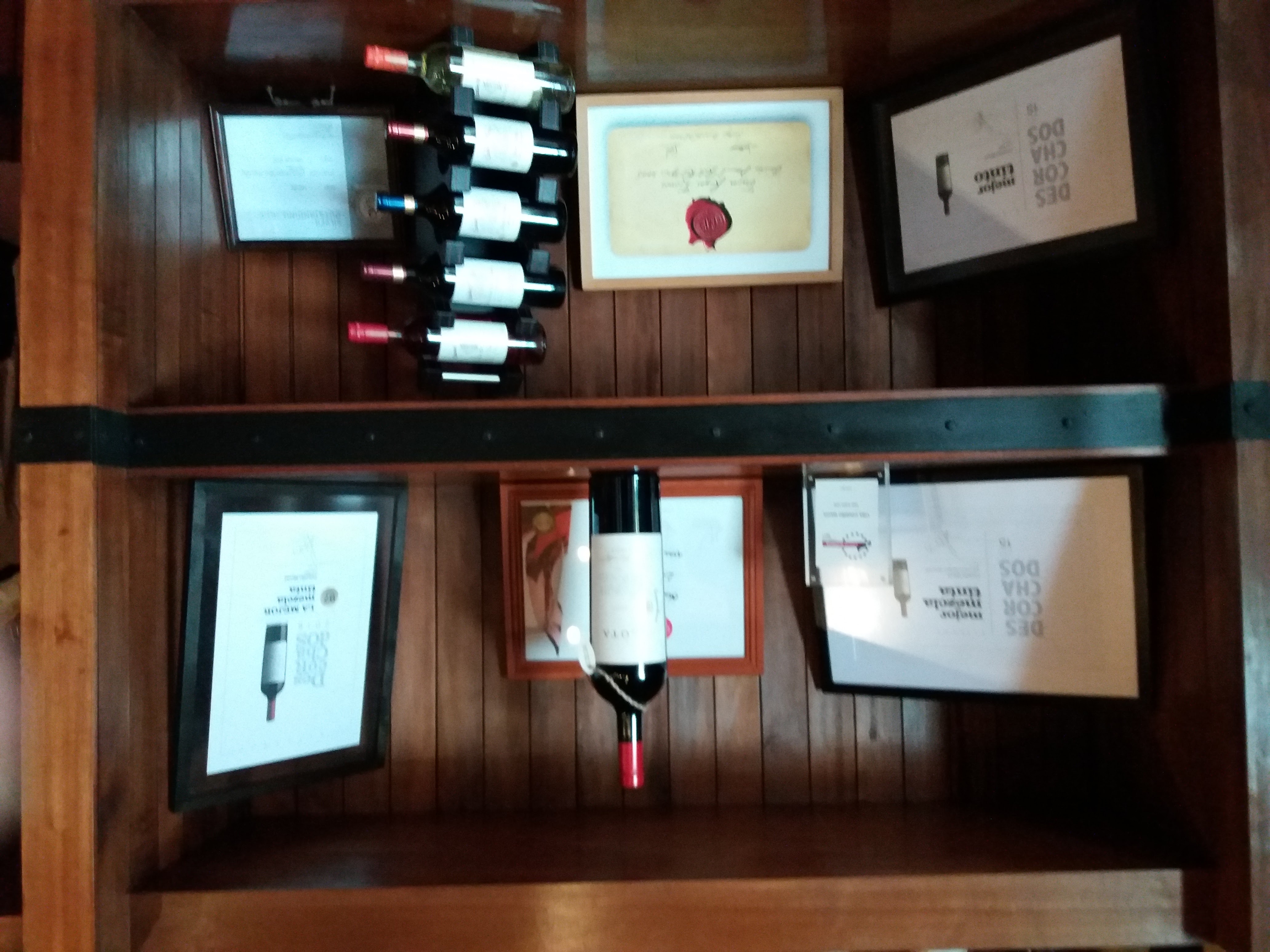 Viña Cousiño Macul