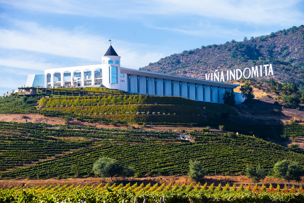 Viña Indomita